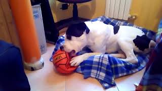 Capoccione  Louie vega Gift of love