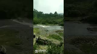 Download lagu tangga manik kab lahat Sumatera selatan mp3