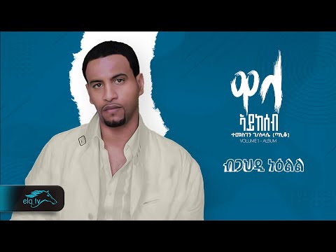 Temesgen Gebreselassie  - Taniqo - Bgahdi Neelil - ብጋህዲ ንዕልል - Eritrean Music - ( Official Audio )