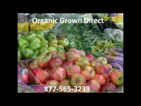 download lagu mp3 mp4 Farm Produce Delivery Near Me, download lagu Farm Produce Delivery Near Me gratis, unduh video klip Farm Produce Delivery Near Me