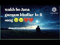 Wakh Ho Jana Gurnam Bhullar Lo Fi Song