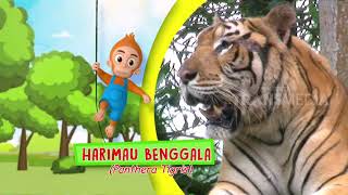 Download lagu SI OTAN | SI GESIT DAN LINCAH (28/05/18) 1-3 mp3 Download lagu SI OTAN | SI GESIT DAN LINCAH (28/05/18) 1-3 mp3