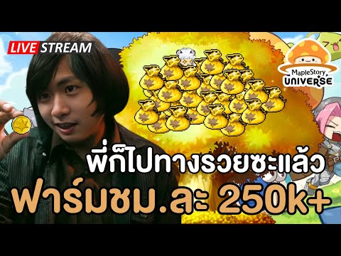 🔴พี่ก็ไปทางรวยซะแล้ว ฟาร์มชม.ละ 250k | Maplestory N (NFT)