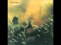 Steely Dan   Katy Lied 1975, Studio Album 03 Rose Darling