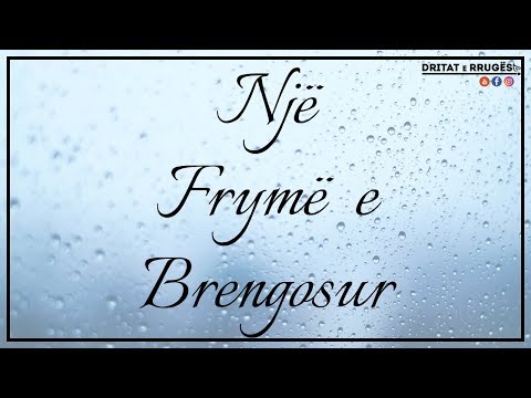 NJË FRYMË E BRENGOSUR...
