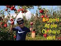 Apple Picking Farm Tour Apple Orchard Apple Harvest Apple Farm Apple Picking For Kids