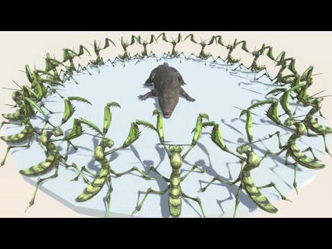 Every Unit surrounded by PRAYING MANTIS - Animal Revolt Battle Simulator