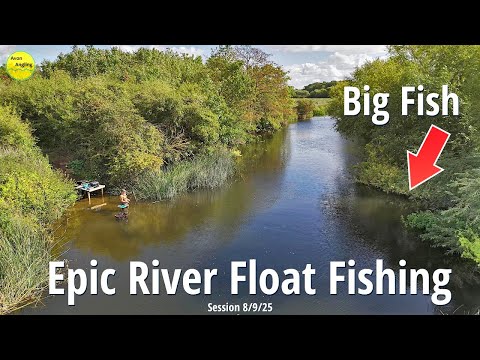 EPIC FLOAT FISHING FOR BIG FISH - Wonderful Waggler Action On The River Avon - 8/9/25 (Video 600)