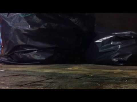 Constantine The G - Law Of Cobra