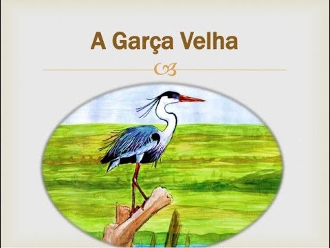 Illustrations of the Kingdom of God - The heron - Juanribe Pagliarin - Glory to Jesus!