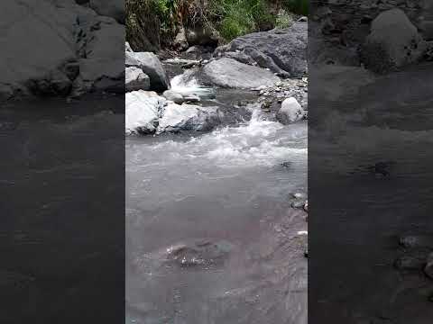 Cuando la pequeña Quebrada La Clara une sus aguas al Gran Rio Atrato.