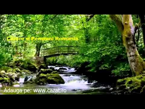 Cazare Bursuc Deal, Iasi - Cazat.ro