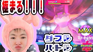 【SYTV剣盾】最高ランク！ダブルバトル！！！トリックルーム！！！/最高ランク！！！最終形態マスボ級！！！！！第２０シーズン！！！【ポケモン】/SWORDSHIELD/POKEMON