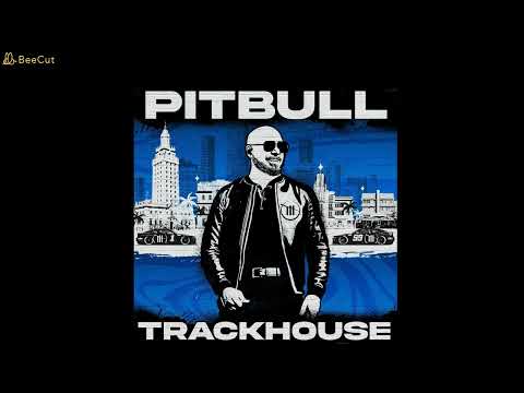 Pitbull x Vikina - It Takes 3 ( #trackhouse  , #pitbulltrackhouse  , #pitbull , #albumtrackhose )