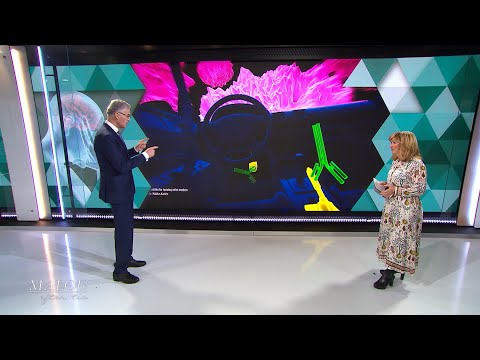 Så fungerar immunterapi mot cancer - Malou Efter tio (TV4)