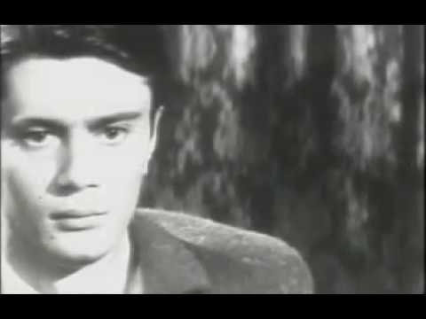 Vlado Janevski - Evergrin