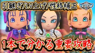 DQM4 注意点など解説！1本で分かる重要な攻略まとめ！性格補正一覧・レベル上げ・引継ぎおススメモンスター等！体験版での薦め！ドラクエモンスターズ4 ビアフロ 攻略【メイルス】