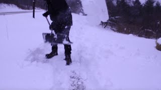 マイナス20℃の大麻ファームでスコップだけで雪かきした  (筋トレ 肉体改造 戸建て築200年 ニューヨーク ASMR DIY 雪山 冬 ストーブ ハスキー)