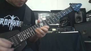 Necrophagist   Ignominious And Pale Muhammed Suicmez solo by Tugrul KAYA