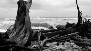 &quot;All Your Waves&quot; by Wovenhand from the album &quot;Star Treatment&quot;