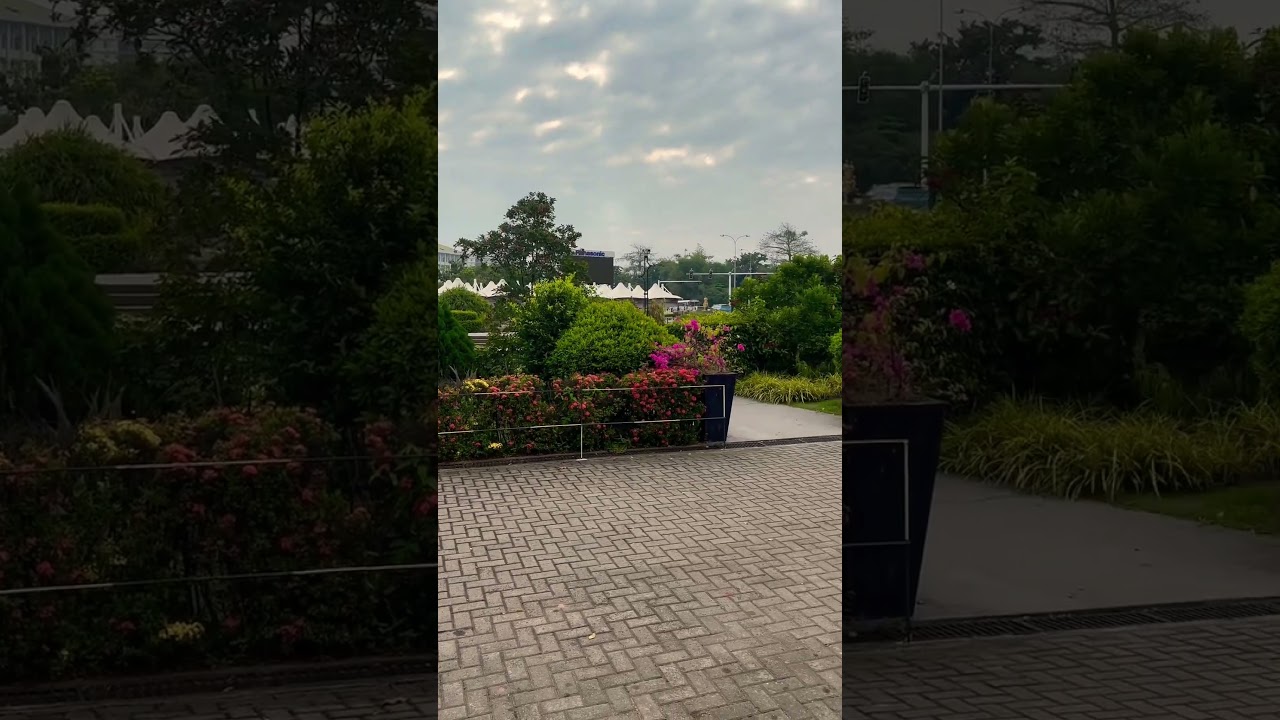 YouTube Short thumbnail