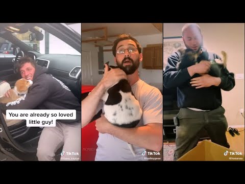 Surprising my husband with his dream dog