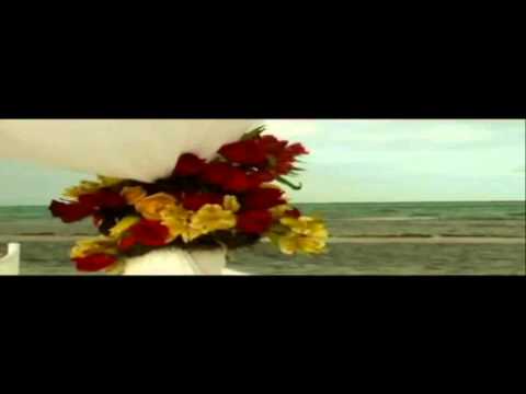 one love  video official linky ft shade