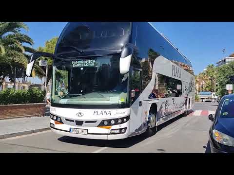 Plana bus beulas jewell N 1033 en servicio discrecional