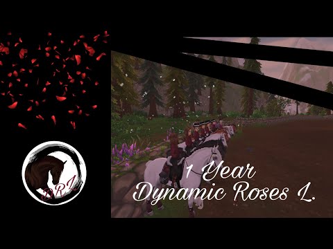 1 Jahr DRL. Überraschung der Rosen || Jubiläum || [Sso/DRL]