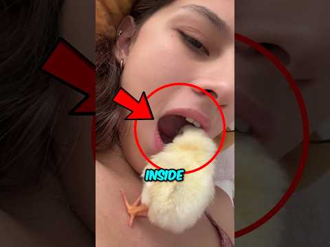 WHY DO THEY DO THIS!? 🤯