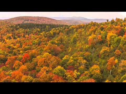 Vermont Fall Foliage