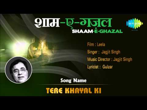 Tere Khayal Ki | Shaam-E-Ghazal | Leela | Jagjit Singh