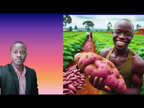 Okuloota lumonde kitegezaki By Brother Steven