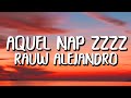 Rauw Alejandro Aquel Nap ZzZz Letra Lyrics