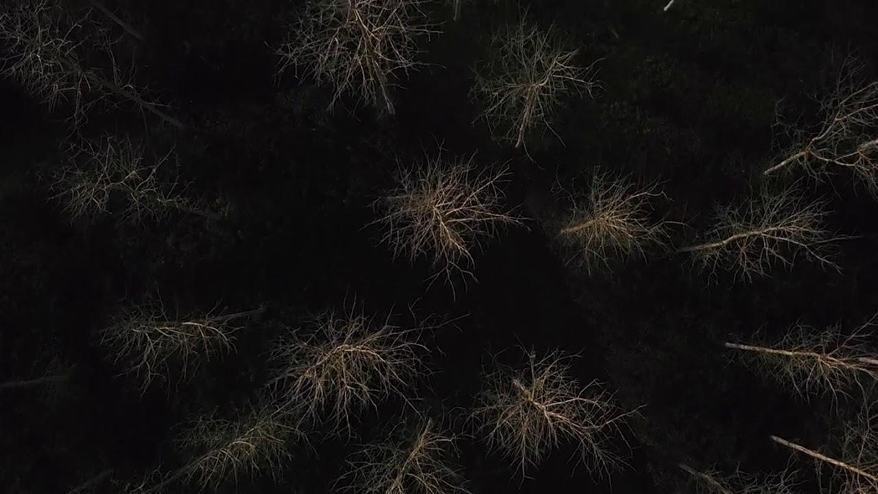 Yann Tiersen - Koad 