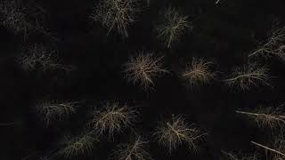 Yann Tiersen - Koad 
