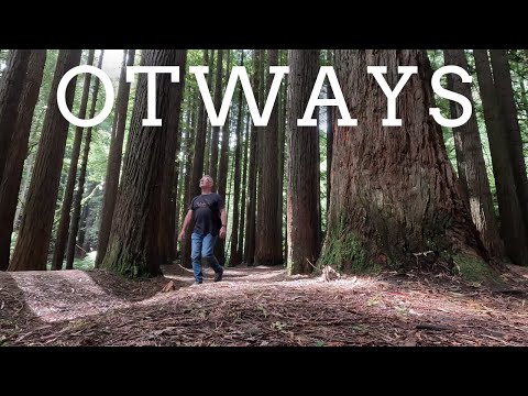 Colac & the Otways: Volcanoes, Waterfalls and Forest Walks