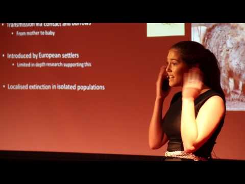 Sarcoptes Scabies In Wombats | Keeley Thomas | TEDxGlasshouseChristianCollege