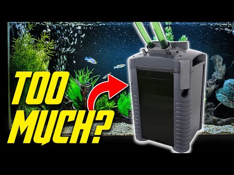 How Much Filtration Does Your Aquarium Need? (Filter Guide)