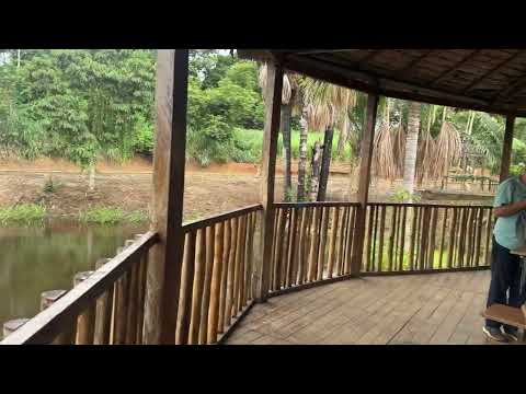 Cocha de La Novia - Iberia - Puerto maldonado - Madre de dios