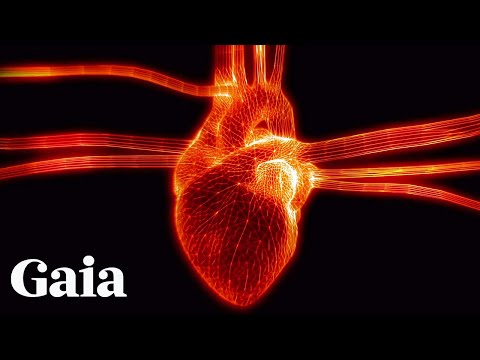 The Science of Heart-Brain Harmony with Gregg Braden