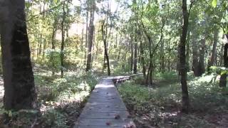 preview picture of video 'Marsh Trail at McCormick's Creek State Park - Virtual Walk-Thru'