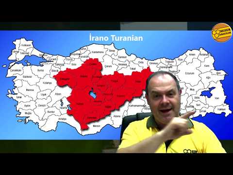 HANGİ KOVANLARLA ARICILIK YAPILIR? ( Ülkemizde Hangi Kovanlarla Daha Çok Bal Alınır? )
