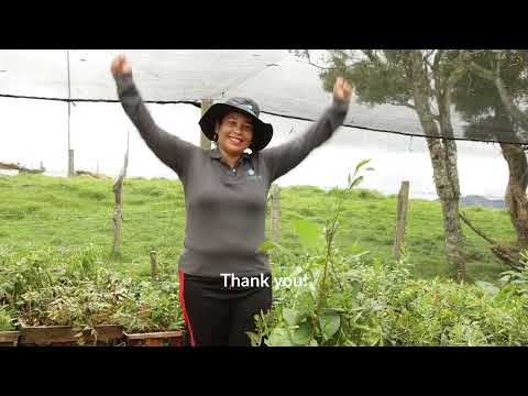 'Colombia's Forests of Mist' - THANK YOU!