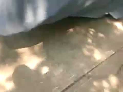 1974 Buick Electra 225 (CC-1085050) for sale in Charlotte, North Carolina