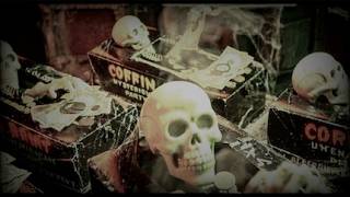 Vice Squad You Can't Buy Back The Dead (short)