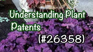 What is a patented plant??🌲🌲 Understanding plant patents and what they mean for you!