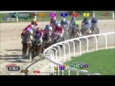 Macau Jockey Club Trophy 2018 - Miracle Hansen