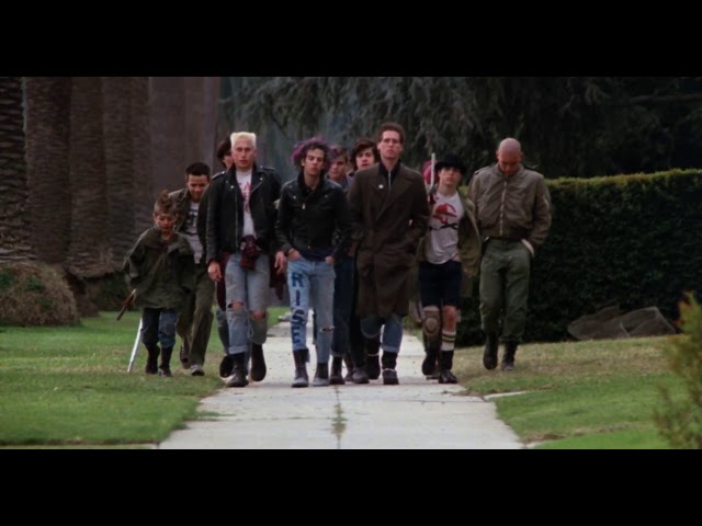 Judge.me YouTube video placeholder