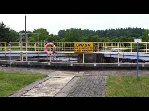 Ekologiczne Wojkowice 01.07.2023